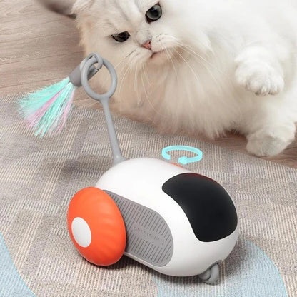 Remote Control Cat Toy